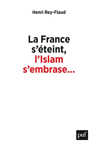 Télécharger La France s’éteint, l’Islam s’embrase...: Réflexions sur un malaise Gratuit