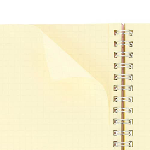 Cahier Rollbahn Spiral Clear Delfonics Bleu pour gérer vos notes
