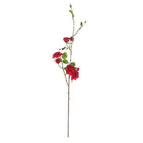EUROCINSA Ref.57995C20 ROSAL BRAND, Box of 6pcs, 125cm