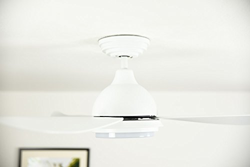 Ventilador de techo de bajo consumo Pepeo Raja elegante con 3 palas 2