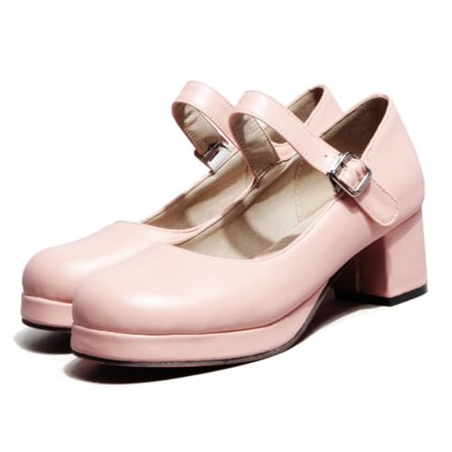 Classic Mary Jane Shoes for Women Round Toe Low Block Heel Leather Buckle Strap Cute Lolita Cosplay Shoes Comfortable Daily Wear Shoes