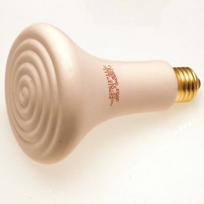 Wren 200 W Ersatz-Porzellan-Element Standard Zwinger und Katzen-Heizung.