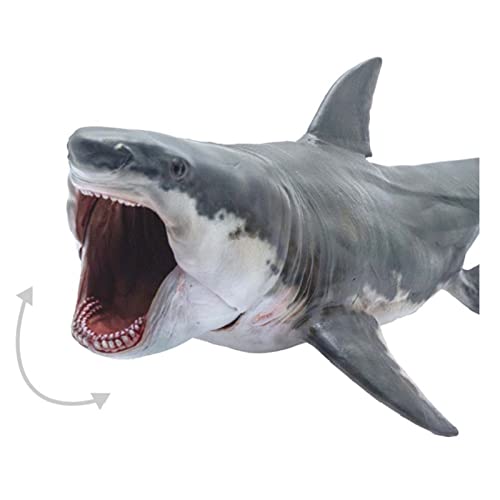 Megalodon Shark Sea Life figurine requin antique PNSO jouet éducatif