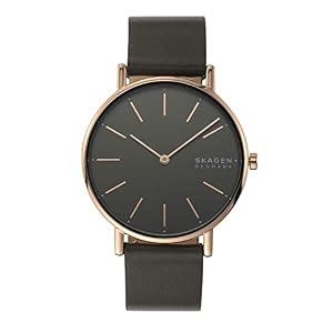 Skagen Signatur SKW2794