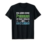 pyrrhura molinae parla Per gli uomini, l'amico perfetto come idea regalo originale per Natale o compleanno.