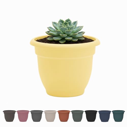 Bloem Ariana 8" Daffodil Self-Watering Resin Planter