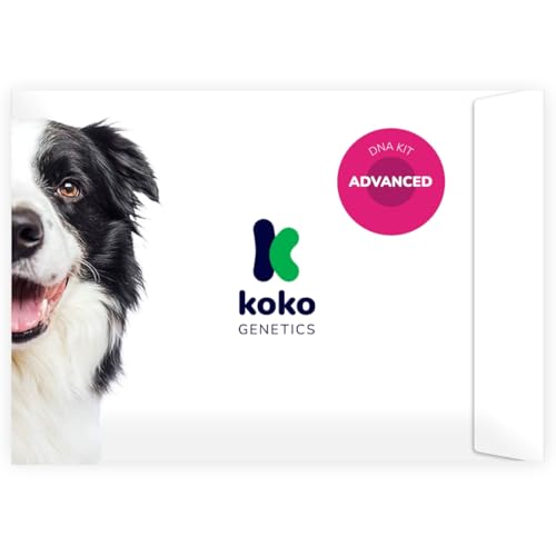Koko Genetics - Test ADN pour Chiens Advanced (+175 rapports sur les Races, Santé et Traits) - Mises à niveau sans frais
