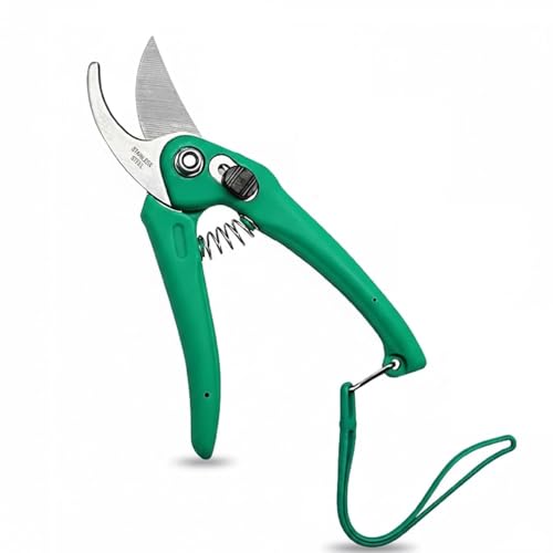 Image of JD FRESH Hand Pruner Cutter /Stainless Steel Bypass Blade Pruning Shears /Safety Lock /Non Slip Handle /Return Spring /Garden Scissors and Plant Cutter for Gardening /Plants /Bushes & Hedges /Branches (Green)