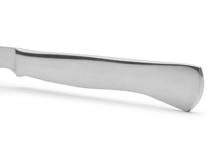 Arcos Coltello da Macellaio in Acciaio Inossidabile – Coltello da Cucina Professionale per Tagliare Carne, Pesce e Verdure – Manico Ergonomico in Poliossimetilene, Lama da 250 mm – Serie 2900, Blu