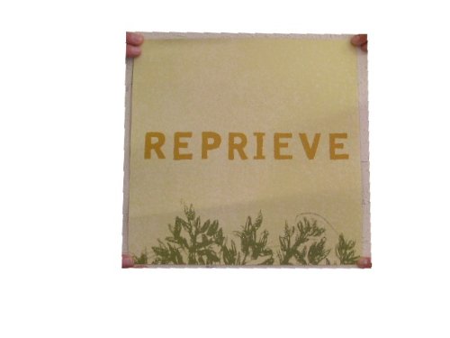 Ani Difranco Poster 2 Sided Reprieve Di Franco Bird