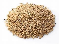 JJ CLAWSOME 250gm Canary Seed for Bird Food, Dry & Clean Seed for All Life Stages, Hand Picked, Benefits of Feather & Long Tail, Egg Hatching, Growth of Babies, Stronger Bones