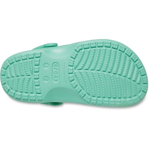 Image of Crocs Kids' Baya Clogs