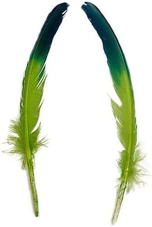 ZUCKER Two Tone Ombré Tipped Turkey Quill Feathers 10-12” 2 PC Feathers for Carnival, Dyed Feathers for DIY - Dark Turquoise/Lime