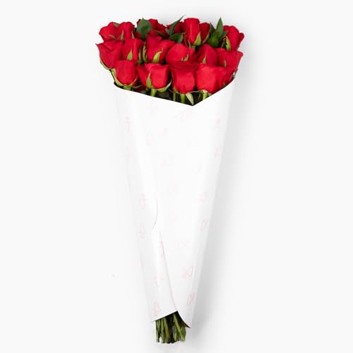 Aquarossa Farms – Flowers for Delivery, Fresh Flowers Bouquet, Handpicked from the Farm, Gift for Birthday, Anniversary, or Just Because – 24 Fresh Roses - Image 6