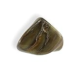 fossil holzuhr herren Edelstein: versteinertes fossiles Holz