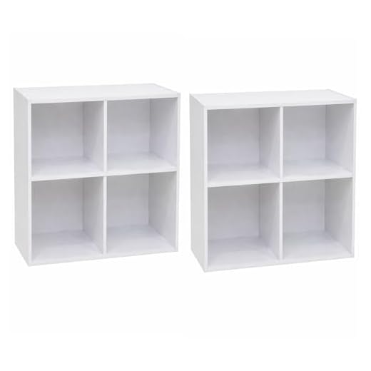 George 4-Cube Storage Organizer