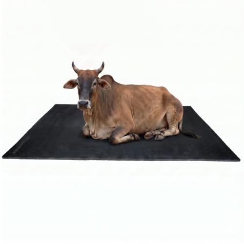 Image of Amazon Basics Premium EVA Cow Mat | 8x5 ft | 25mm Thick | Durable, Shock-Absorbent & Waterproof | Anti-Slip & Easy to Clean | Ideal for Cows, Buffaloes & Dairy Farms(Super Deluxe, Black)