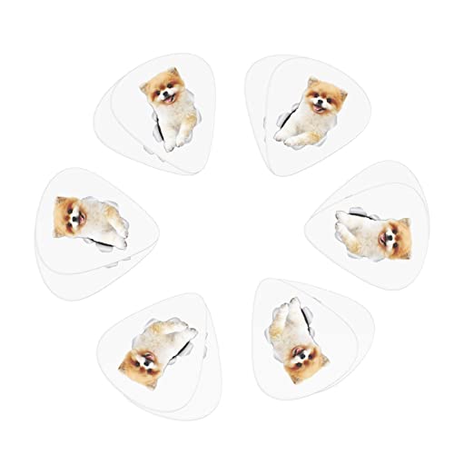 M^[sbN 12 3ނ̌ M^[sbNZbg sbNP[X [{bNXt AR[XeCNM^[ GLM^[ EN }h x[X oW[p Sҗp guitar picki0.46mm0.71mm&0.96mmj |jA