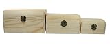 Pracht Creatives Hobby Juego Madera rectangulares, cofres del Tesoro en 3 tamaños Diferentes, con Tapa abatible y bisagra, para Almacenamiento, decoración o Regalo, Naturaleza, drei Größen