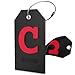 Initial Luggage Tag with Full Privacy Cover and Stainless Steel Loop (Black) (C)