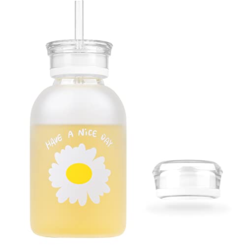 Whjy 16Oz Cute Water Bottle, Glass Water Bottle With Straw, Milk Juice Glass Water Bottle With Scale, With 2 Lids, Little Daisy Sunflower Matte Portable Water Cup - Matte Flower #TOP16