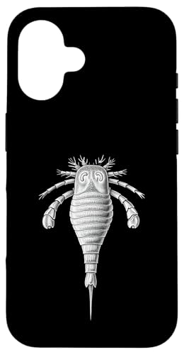 [vebh j̊CT\ Ðw X}zP[X iPhone 16 p