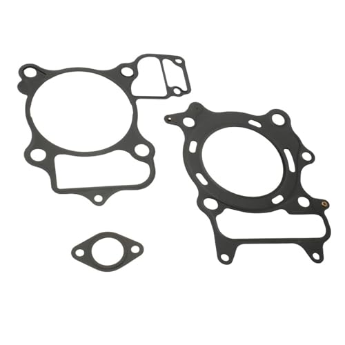 Kit de bloque de cilindros 300cc SH300i compatible con repuestos de motor scooter 2007-2020 6
