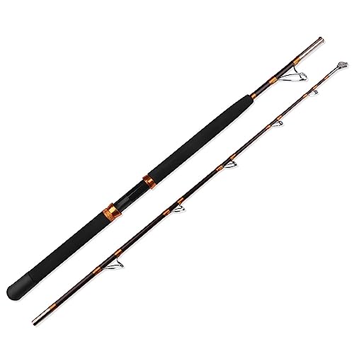 Canne à pêche de 1.65/1.8/2.1 m à la traîne en mer...