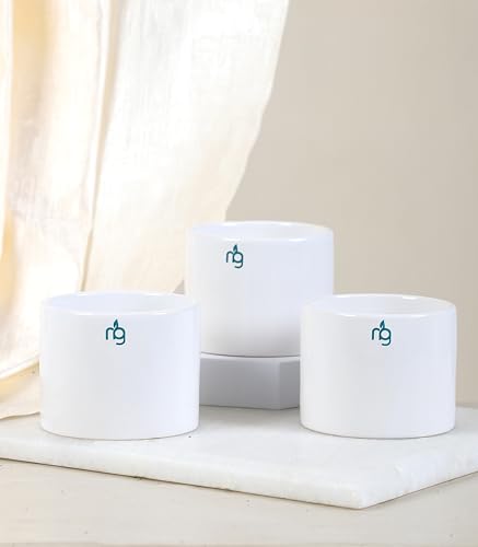 Image of Nurturing Green Combo of 3 White Ceramic Pots | Plant Pots for Indoor | Flower pots for Home Decoration (Size: 3.5 Inch Wide*2.8 Inch High)