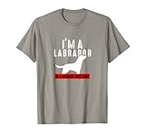 Da rienda suelta al espíritu del perro dentro de ti con este traje de labrador. ¿Eres un amante de los labradores? Este atuendo para amantes de los labradores es un bonito regalo para amantes de los labradores. Muestra el lado divertido de los labradores en este divertido diseño de labrador.