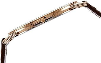Titan Men's 'Edge' Quartz Stainless Steel and Leather Casual Watch, Color: Brown Model: 1595 wl03