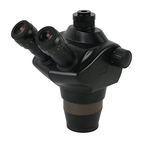 Microscopio estéreo binocular para inspección de laboratorio con zoom confocal 8x-50x 4