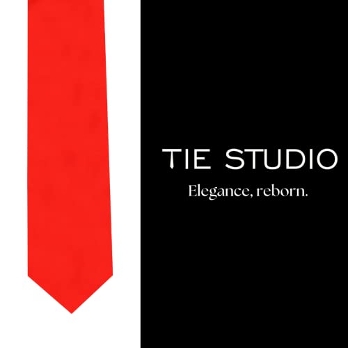 Image of TIE STUDIO Mens Formal Neckties| Standard Size | Premium fabric | Superior finishing| Packaging - Folder | Set of 1