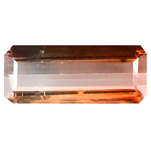 Tourmaline bicolore naturelle 15 x 6 mm pour création de bijou unique