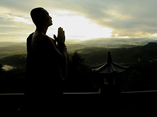 Munks of Kilimanjaro