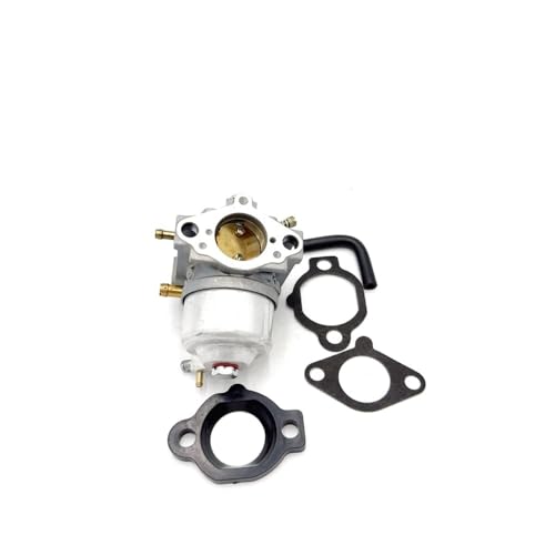 Carburateur 492256 motoculture pour moteur tondeuse 261777-0140-99