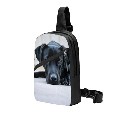 Cute Black Dog Print Men's and Women's Foldable Crossbody Bag,Sports Crossbody Bags,and Daily Chest Bags2