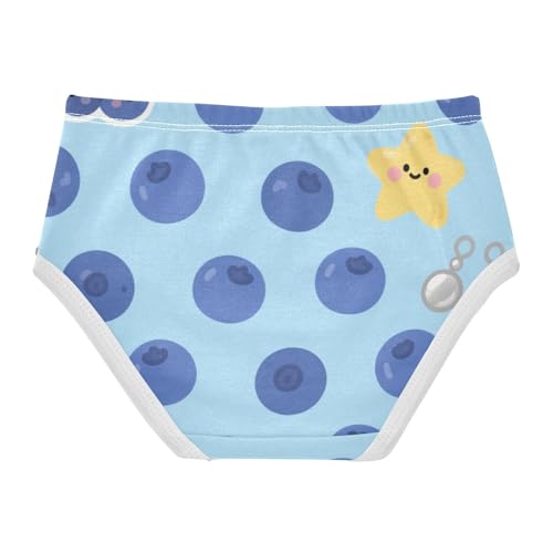 Girls' Underwear Blueberry Fruit Toddle Brief Panties 2-8 Years 203005872