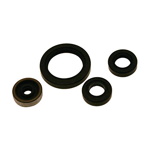 Kit joints spi bas-moteur Centauro Sherco SE-R pour stopper les fuites