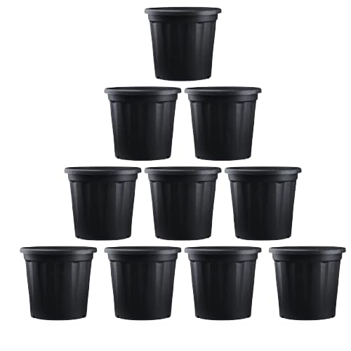 Credence Nursery Pots 8" Inch Black, Flower Pot, Plastic Nursery Seedlings Pot, Plant Pots for Indoor Outdoor Plants, Pack of 10 (B0BQ76SLDJ) Amazon Price History, Amazon Price Tracker