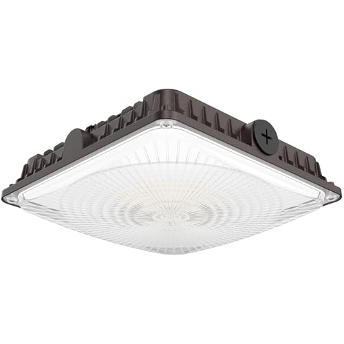 Pvilub LED Canopy Lights 40W: 5600LM Canopy LED Lights - Surface Mount Outdoor...