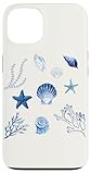 Ocean Graphics