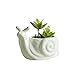 Youfui Snail Succulent Planter, Ceramic Animal Flower Pot for Home Office Desk Decor, Small Cactus Planter Pot, for Plant Lovers