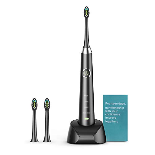 Sonic Electric Toothbrush, USB Rechargeable Toothbrush, Adult Electric Toothbrush With Holder and 2 Replacement Heads