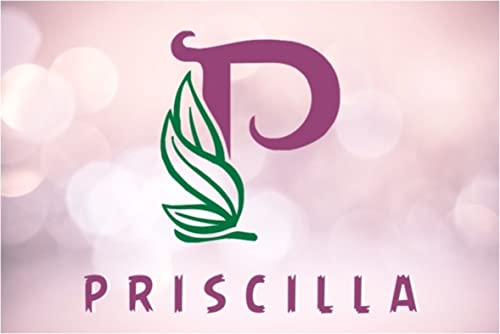 PRISCILLA-Baby-Sofa-ChairKids-Support-SeaterSoft-Plush-Cushion-Baby-Sofa-Seat-Or-Rocking-Chair-for-Kids-05-to-5-Years-Design-13