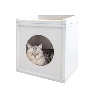 Cat House with Scratcher Platform, Made from Non-Toxic, Formaldehyde-Free Cardboard, cat condo for Indoor Cats – Stylish, Durable & Super Easy Assembly, cat Bed, Hideaway & Scratch Station, White