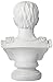 Design Toscano Augustus Caesar Primaporta Bust Statue, Classic Roman Library or Office Decor, 10 Inches Wide, 6 Inches Deep, 18 Inches High, Handcast Polyresin, Antique Stone Finish