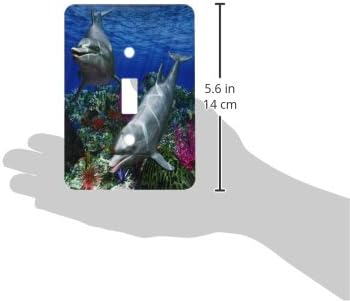 3dRose lsp_181785_1 Two Cute Dolphins Swim in The Ocean a Undersea Scene Light Switch Cover image 3