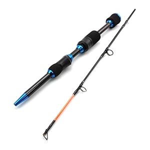 Laagste winst winter Op ijs hengel 65cm 75g carbon Zware ultrakorte Spinhengel Reizen Visgerei