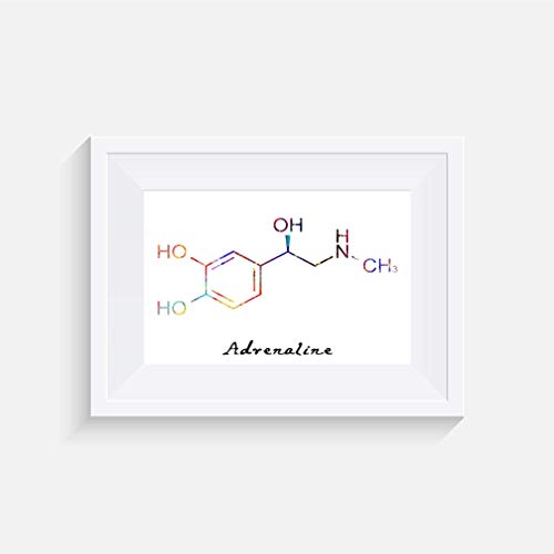 Molekül Adrenalin Inspirier - Drucken - Poster - Aquarell - Wandkunst- verschiedene Größen(Rahmen Nicht Inbegriffen)